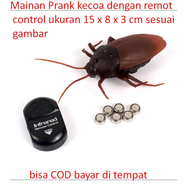 Mainan Kecoa