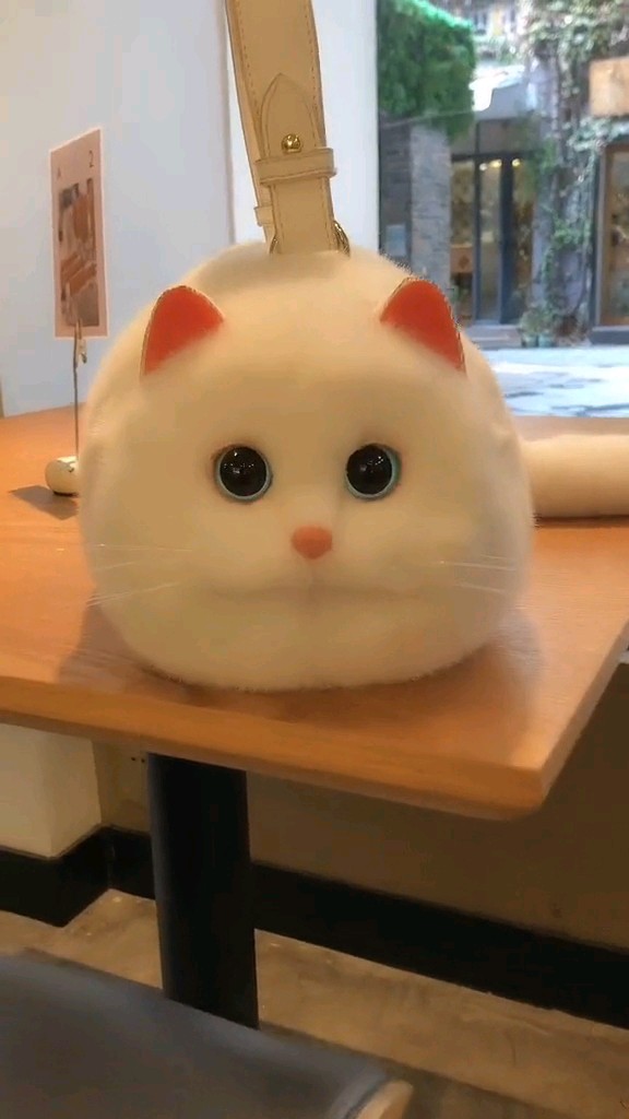 #shopeevideo #RacunShopee #unik #taskucing #tasbentukkucing #taskucing3d #fyp #trending #viral #ShopeeHaul #taskucinglucu
