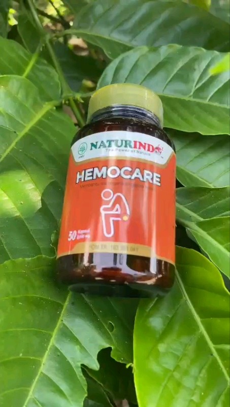 #wasir #wasirambeyen #wasirherbal #wasirparah #ambeyen #ambeien #hemocare #fistulaani #babberdarah #sembelit