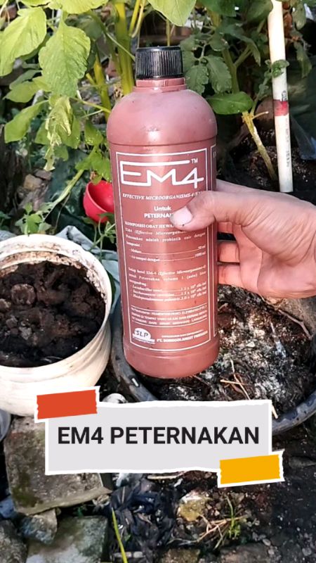 EM4 PETERNAKAN memelihara kesehatan hewan #ViralDiShopeeVideo #SpillBawaBerkah #Diskon40RB #em4peternakan