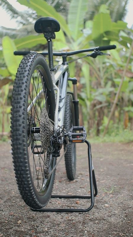xtrada 7 2025
