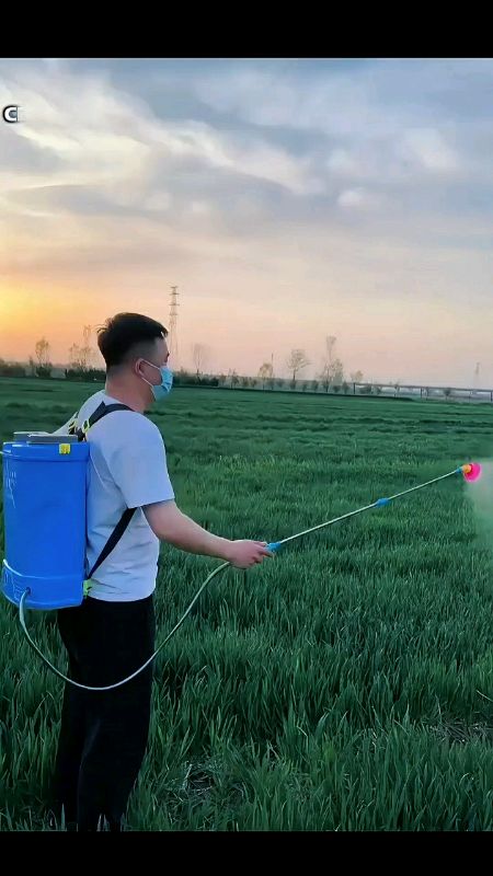sprayer eletrik 16liter harga murah dan berkualitas#sprayerelektrik #sprayertanaman #sprayerpertanian #sprayer