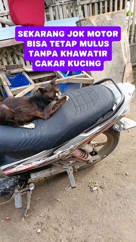 anti cakar kucing#GratisOngkirRP0 #ShopeeCOD #PromoNonStop #RacunShopee #ViralDiShopeeVideo