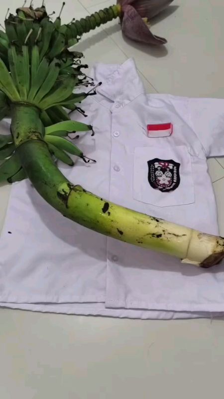 wah keren bahkan getah pisang yg kuat nempel pun bisa ilang apalagi cuma anak anak yg ketumpahan saos kecap bukan masalah lagi dehhh🤤😉😇#fyp#keren