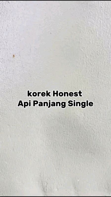 Korek Api Panjang Honest Single api 👇🏻😍💥#korekapi #korekapipanjang #korekunik #fypppppppppppppp