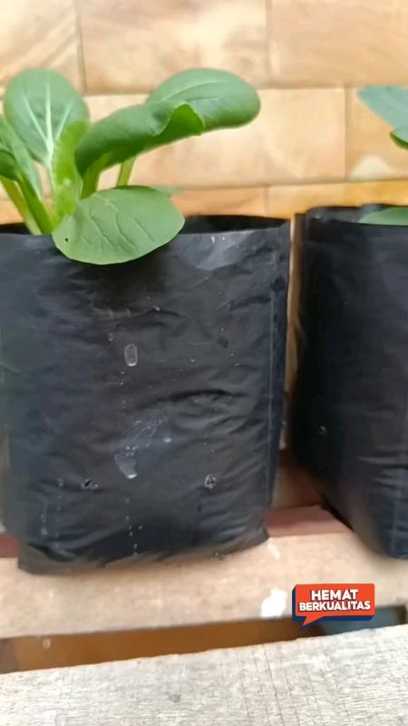 Polybag Tanaman All Varian#polybagtanaman #polybagmurah #polybaghitam #RacunShopee #SpillRacunShopee #DiskonRacunShopee
