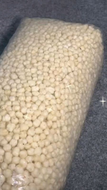 pilus cikur buat boci seblak #pilus #piluscikur #piluscikurmurah #cikurkencur #cikurpilus