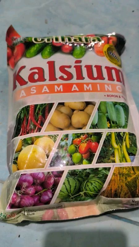 calsium asam amino#pupuk #pupuktanaman #calsiumasamamino #calsiumtanaman