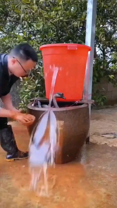 Lakban WATERPROOF#spillracunshopeemurah #SpillRacunShopeeBerkah #SpillRacunShopeeCheck #shopeehaulmurah #termurahterlaris #terbaikdishopee #kekinian