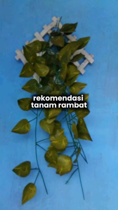 #RacunShopee #RacunShopeeCheck #SpillRacunShopee #SpillBawaBerkah #BadaiTapiBudget #PejuangRupiah #tanamanhias #daunrambatplastik #daunjuntai #daun