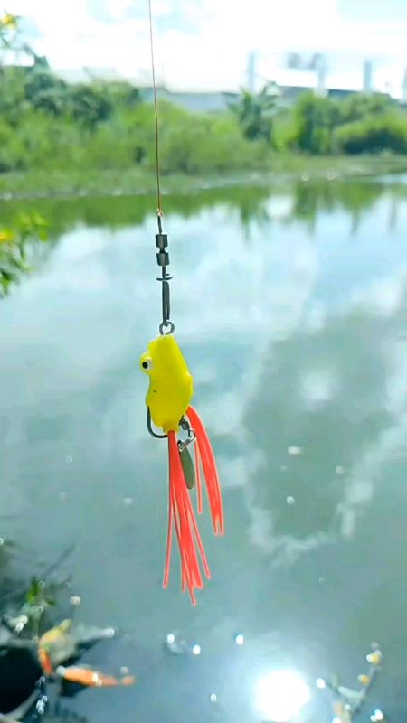 #lure #lurepancing #lurecasting #umpanmancing #umpancasting #softrog #shopeevideo