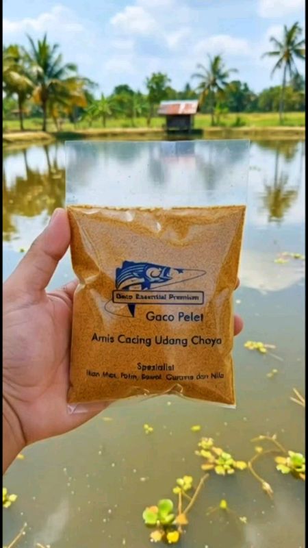 GACO PELET AMIS CACING UDANG CHOYA#gacopelet #peletikanpancing #ramadanekstraseru #mancingmania #murah