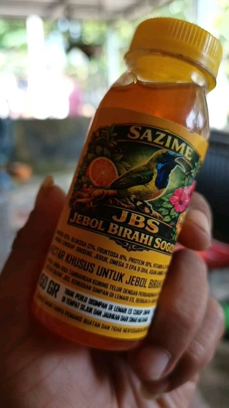 pakan penggacor burung spgon secara cepat dan maksimal
