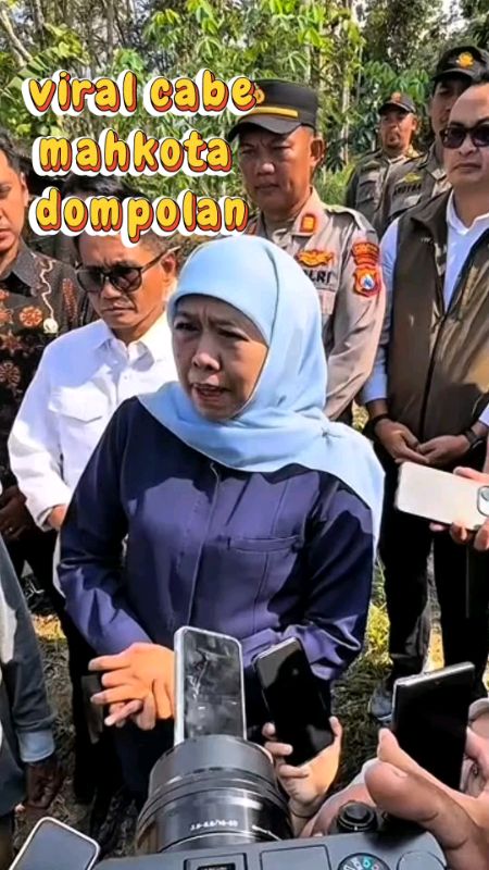 benih cabe varietas unggul #cabe #dompolan