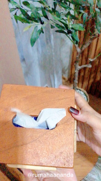 Kotak tissue rotan aesthetic