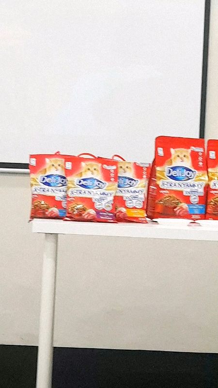 #delijoy #dryfoodchallenge #PetContentCreator #anabulindonesia #unicharmpet