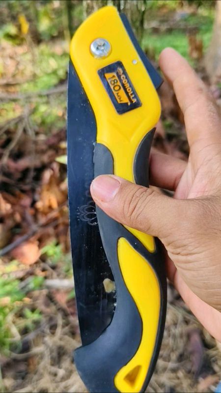 pruning coffee grafting coffee top working coffee potong batang kopi menggunakan gergaji ini #gergajiportabel #gergajilipatsupertajam #gergajimurah
