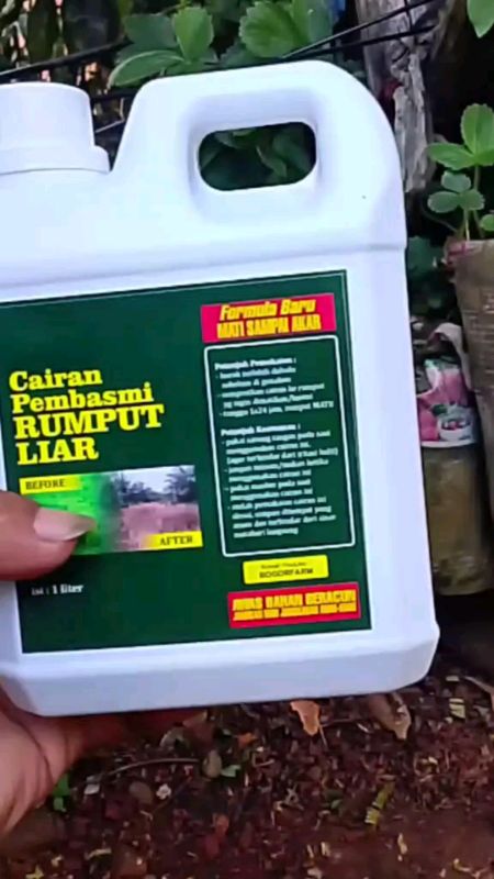 racunrumputliar#ShopeeCOD #racunshopeecheeck #spilbawaberkah