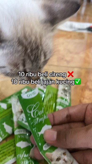 #camilankucing #camilankucingmurah #camilankucingsehat #camilankucingviral #kucing