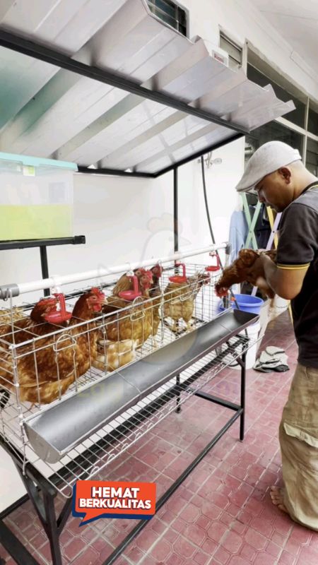 kandang ayam petelur #RacunShopeeOOTD #racunshopeecheck👉🛒 #racunshopeecheck #RacunShopee #racunshopeecheck👉🛒r #PromoNontStop #viraldishopeevideo❤❤