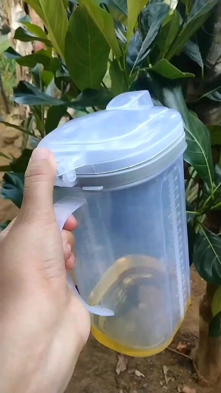 oil Jug Sally tempat minyak goreng 2 liter botol minyak wadah penyimpanan #tempatminyak2liter #tempatminyakantitumpah #tempatminyakgoreng2liter #vidio