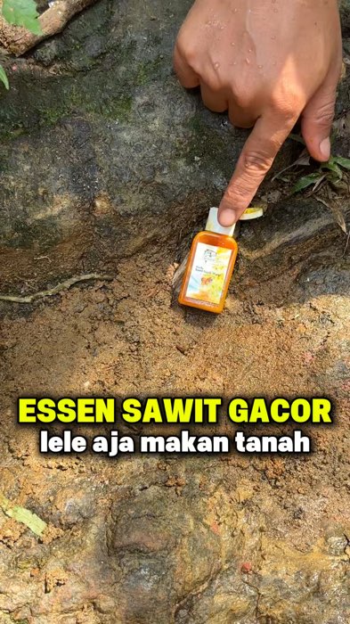 Essen sawit #ViralDiShopeeVideo #DiskonRacunShopee #ShopeeCOD #mancinglelemania #mancingmania #mancing #essensawit #olahansawit #essenolahansawit