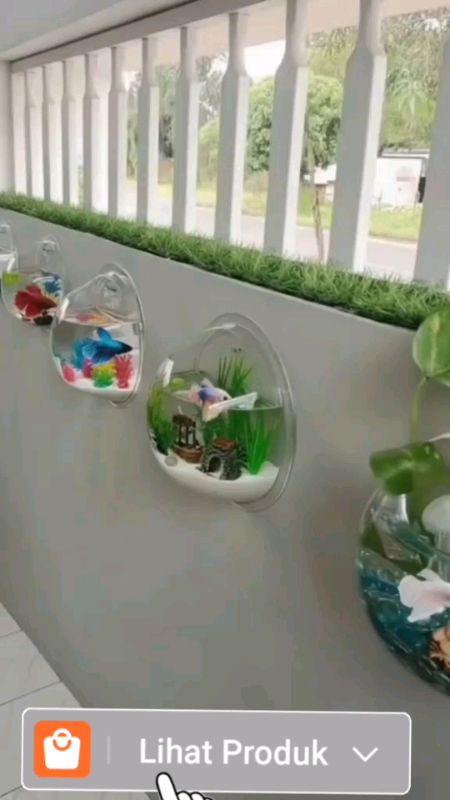 aquarium dinding #aquarim #aquarium