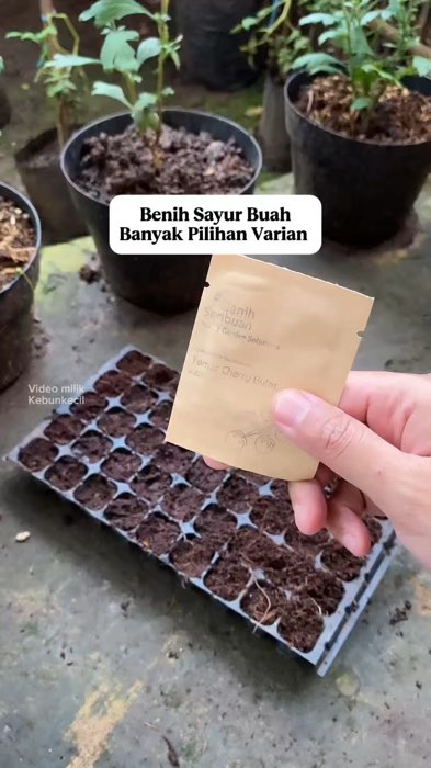 Benih sayuran buah banyak pilihan varian #PromoNonStop #Cashback50RB #GratisOngkirRP0 #Diskon40RB #benihsayuran #benihsayuranmurah #benihseribuan
