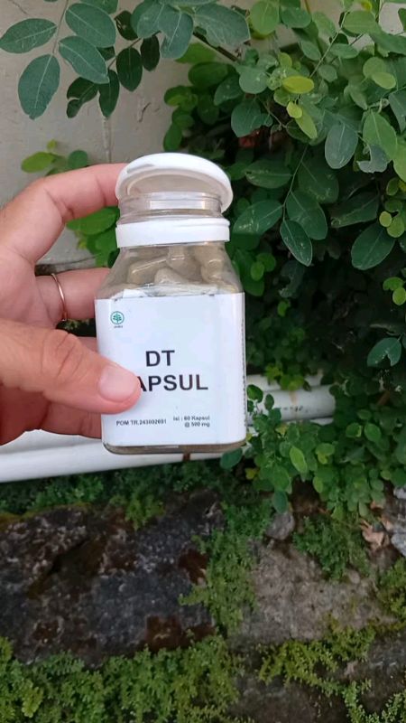 dt kapsul solusi teman diet yg tepat karena herbal alami #dtkapsulpelangsing #dtkapsulbpom #DTkapsulpenghancurlemak #dtkapsulpenurunberatbadan #fyp