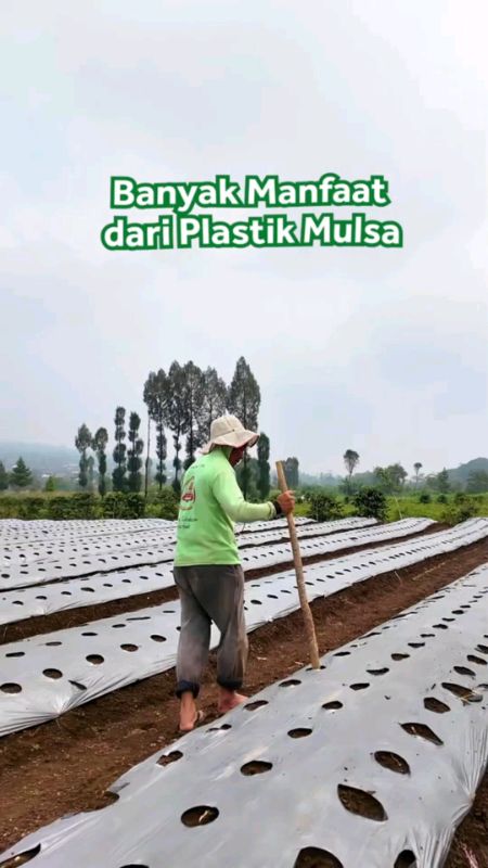 #GakNyeselBeliIni #gratisongkirrp0 #shopeecod #promononstop #racunshopee #viraldishopeevideo