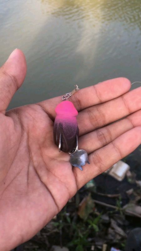 soft frog gacor ini😂#softfrog #softfroggacor #softfrogkiller #softfrogmurah