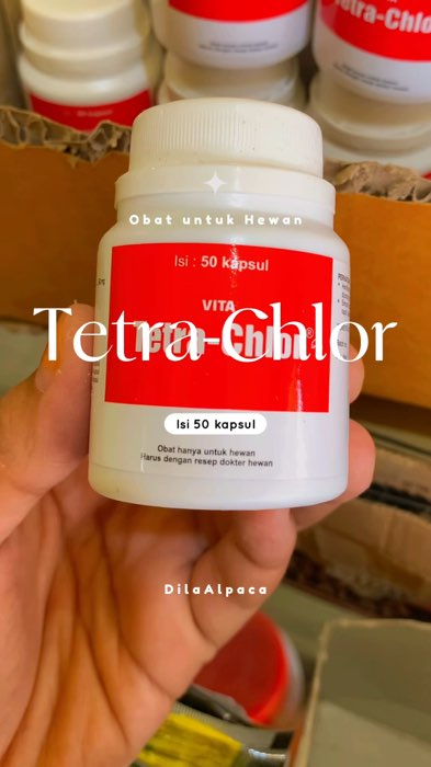 #shopeevideo #shopeeberkah #SpillRacunShopee #SpillBawaBerkah #RacunShopeeCheck #spillracunshoppe #RacunShopee