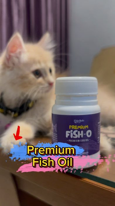 Premium Fish Oil Minyak Ikan untuk Anabul #fishoilkucing #minyakikankucing #RacunShopee #SpillRacunShopee