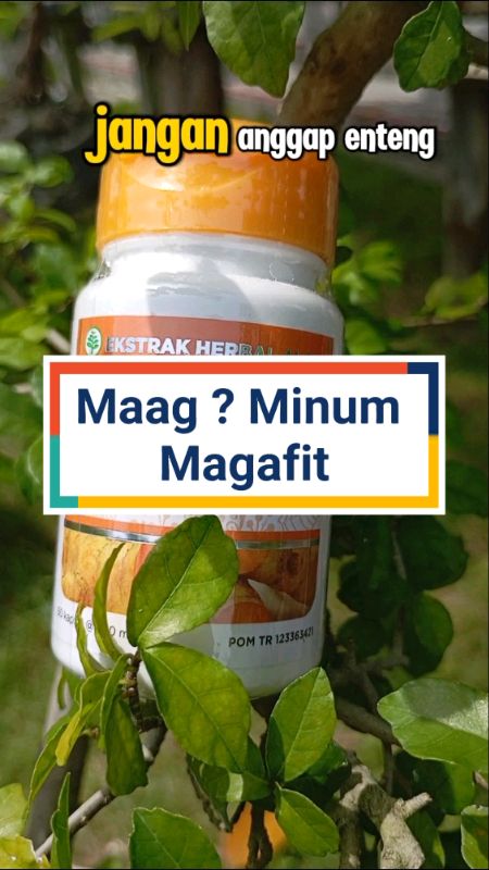 Maag ? Minum Magafit. #maag #maah #magh #maagh #magafit