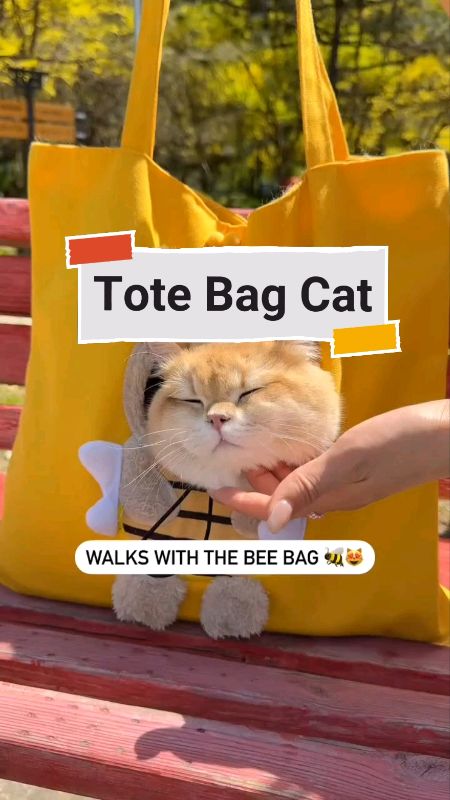 Tote bag Kucing #ViralDiShopeeVideo #SpillRacunShopee #anabul #kucing