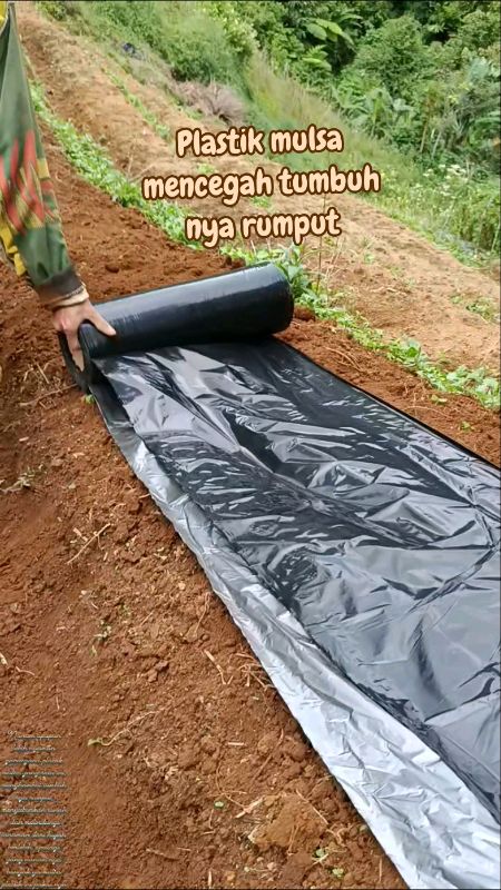 Plastik Mulsa Terbaik di shopee😍#RacunShopee #SpillRacunShopee #ViralDiShopeeVideo #shopeevideo #SpillBawaBerkah #ShopeeLook #plastik #mulsapertanian
