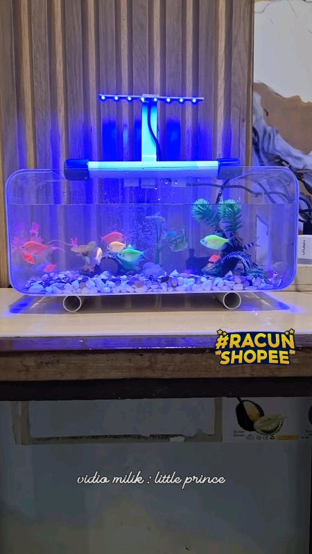 #ViralDiShopeeVideo #ShopeeCOD #RacunShopee #racunshopeecheeck #aquarium #aquariummini #aquariumaesthetic #aquariumminiakrilik #shopeevideo