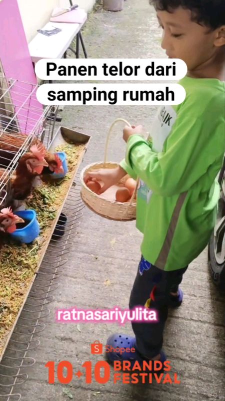 kandang ayam petelor #KandangBaterai #kandangayamgalvanis #kandangayammurah #ShopeeLook #ShopeeCOD #GratisOngkirRP0 #SpillBawaBerkah #RacunShopee