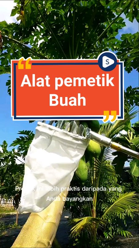 Alat pemetik buah teleskopis