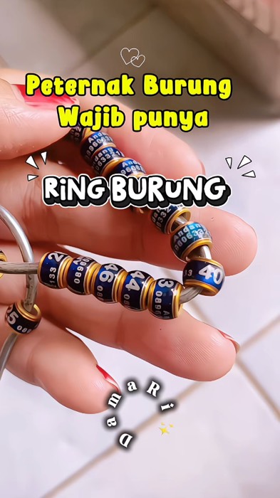 Hrus punya #ringburung #peternakburung #PeliharaanTergemas #peliharaan #ternakburung #RacunShopee #SpillRacunShopee #RacunShopeeCheck #SpillBawaBerkah
