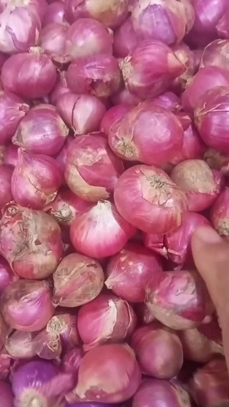 BAWANG MERAH LOKAL SEDANG, KECIL, KERING FRESH #bawangmerah #bawangmerahlokal #bawangmerahmurah #SpillRacunShopee #SpillBawaBerkah