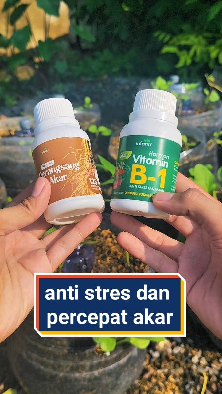 Anti stres dan percepat pertumbuhan akar tanaman #B1 #b1tanaman #perangsangakar #antistrestanaman