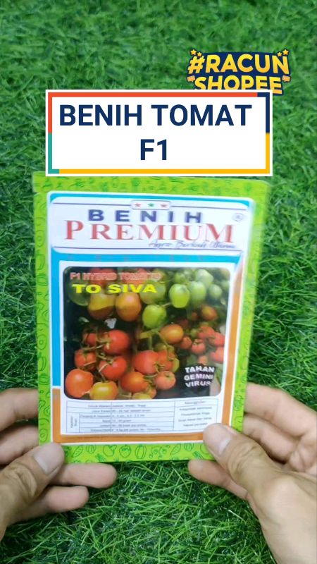 #benihtomat #benihtomatunggul #benihtomathibrida #Benihtomathibridaf1 #benihunggul #SpillRacunShopee #RacunShopee #promo66sale #guncang66