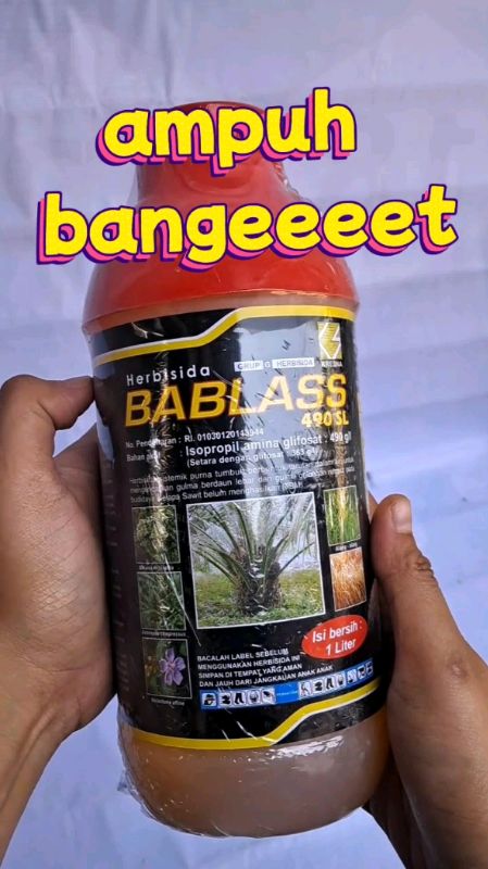 obat pembasmi rumput liar herbisida bablas #herbisida #halamanrumah #rumputliar #pembasmirumput #petani
