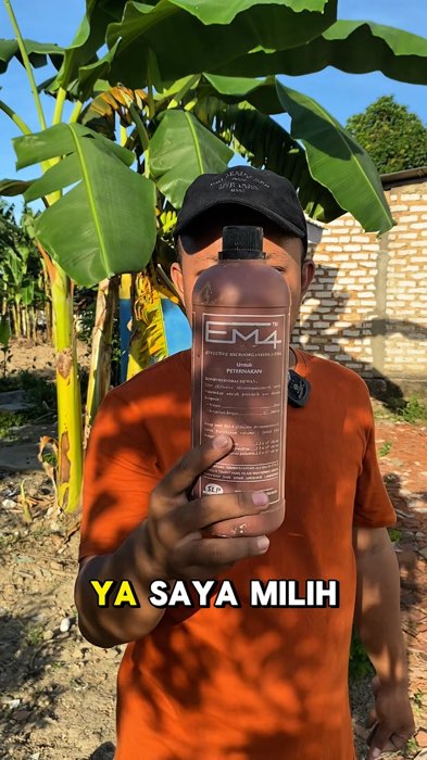 Cairan em4 murah untuk peternakan #GratisOngkirRP0 #RacunShopeeCheck #RacunShopee #SpillRacunShopee #GakNyeselBeliIni #em4peternakan #em4