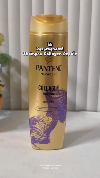 Rambut capek, gampang kering, gampang patah? Cuma ini solusinya! Pantene Miracles Shampoo Collagen Repair #panteneshampoo #pantene