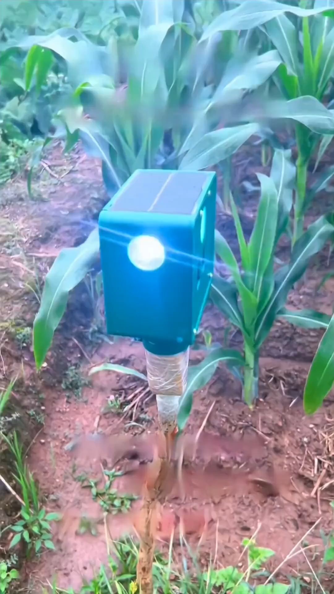 alat pengusir hewan bertenaga surya, lampu sorot satu sisi bervolume tinggi.
