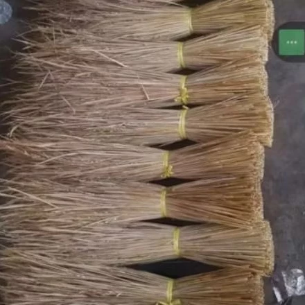 jerami padi kering, jerami padi sudah bersih siap pakai, cocok untuk dekorasi, atap gasebo, craft, dll perikat