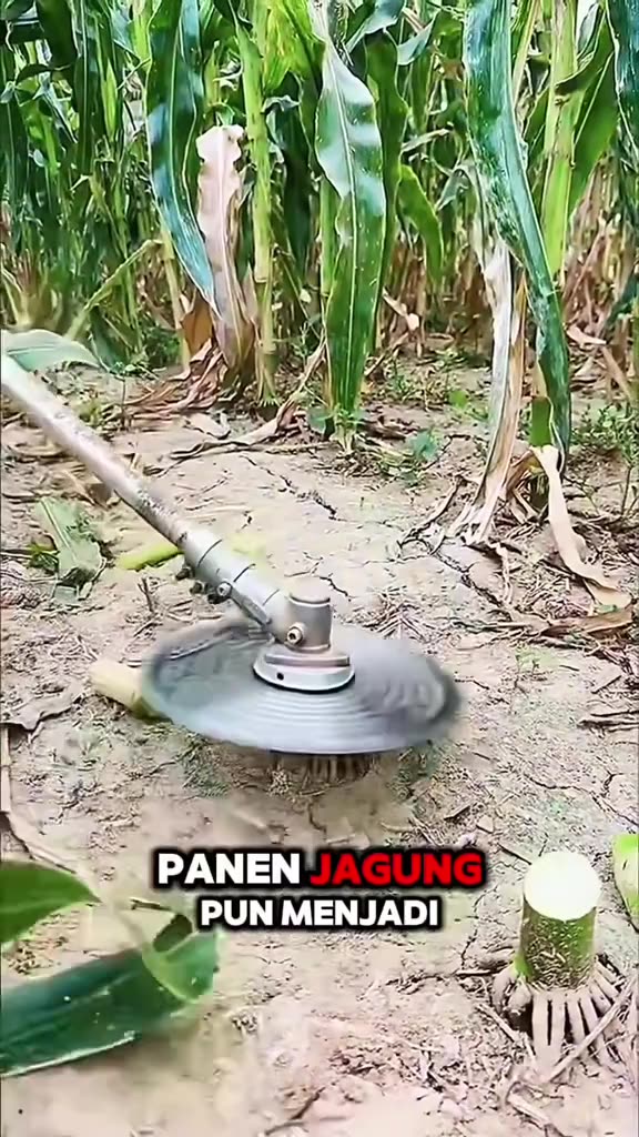 Inovasi Petani Cerdas Di china #serunyabelajar #petanimuda #pengetahuan #fyp