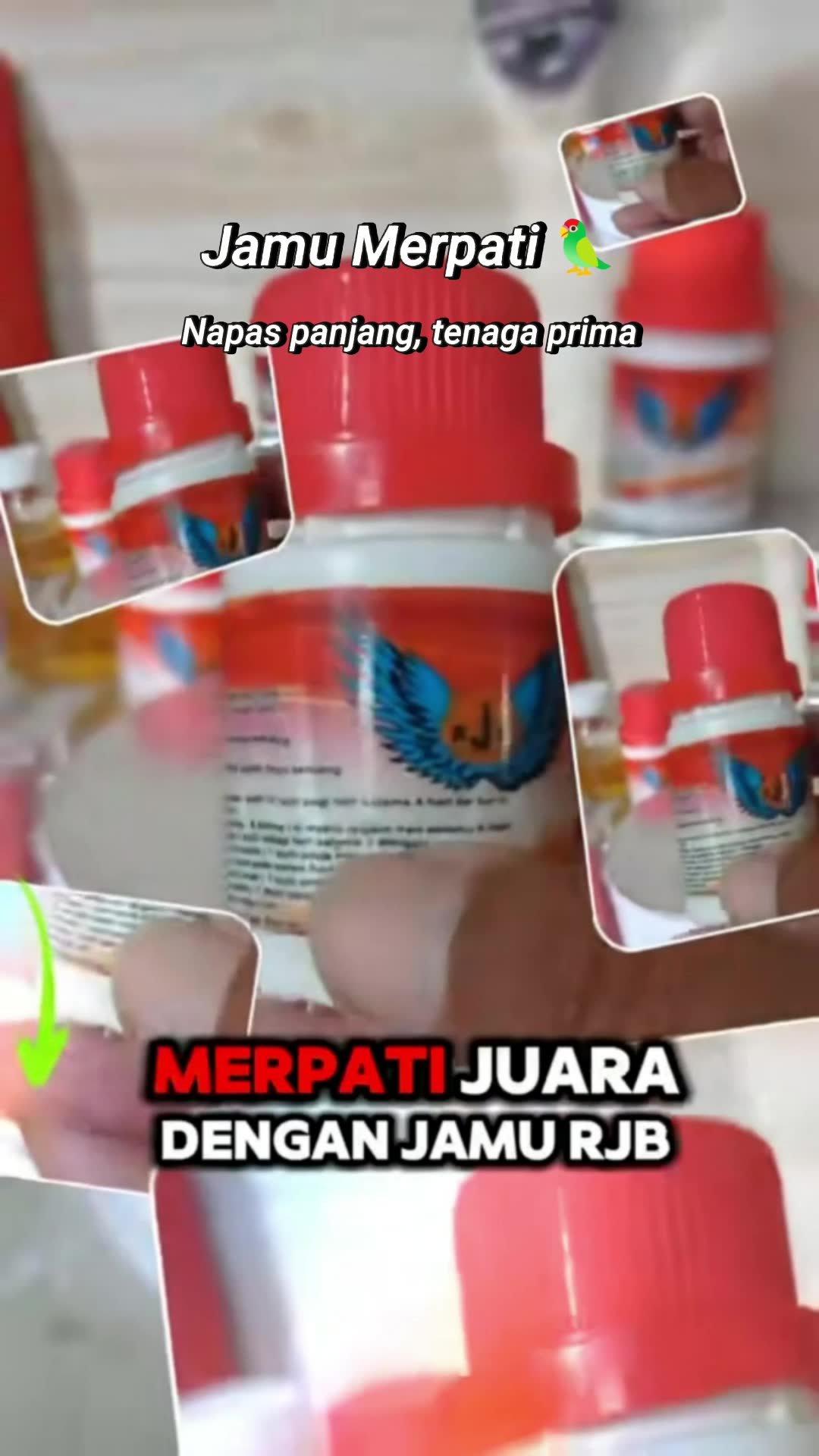 jamu merpati rjb #SpillRacunShopee #ViralDiShopeeVideo #DiskonRacunShopee #GratisOngkirRP0